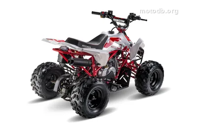 Access MiniSport 110