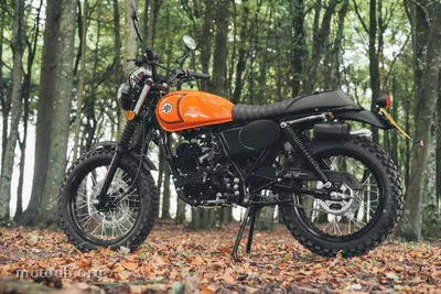 AJS 71 Desert Scrambler 125