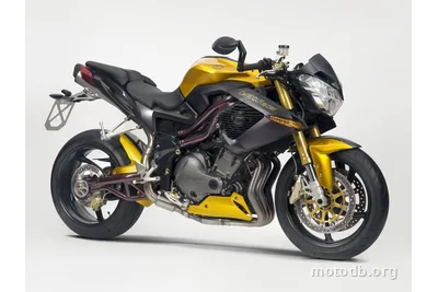 Benelli Century Racer 899