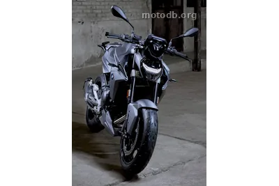 BMW F 900 R Frozen Pure Grey