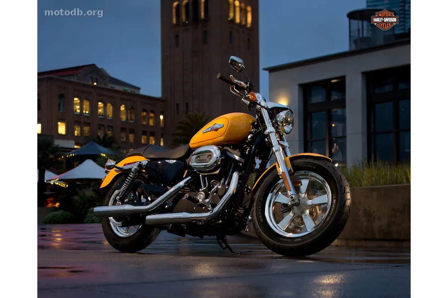 Harley-Davidson 1200 Custom 110th Anniversary
