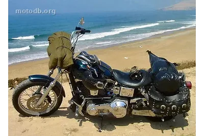 Harley-Davidson 1450 DYNA LOW RIDER edition HOGGER