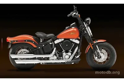 Harley-Davidson FLSTSB 1584 SOFTAIL CROSS BONES