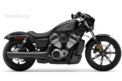 Harley-Davidson Nightster