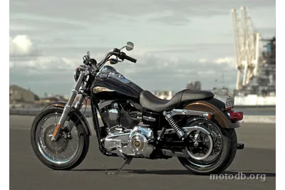 Harley-Davidson Super Glide Custom 110th Anniversary