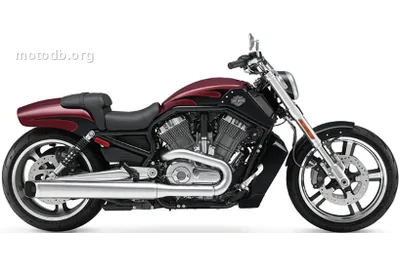 Harley-Davidson V-Rod Muscle