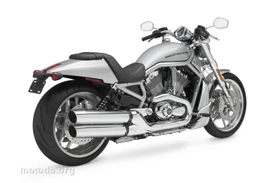 Harley-Davidson VRSCDX V-Rod 10th Anniversary