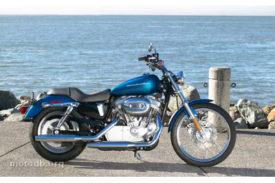 Harley-Davidson XL 883 C Sportster Custom