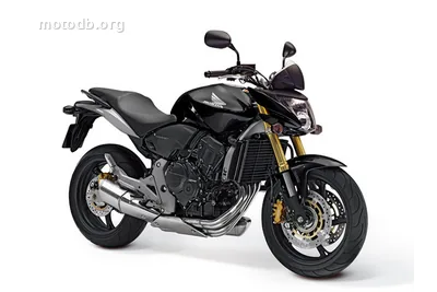 Honda CB 600 F Hornet