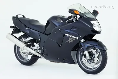 Honda CBR 1100 XX Super Blackbird
