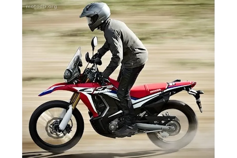 Honda CRF 250 Rally