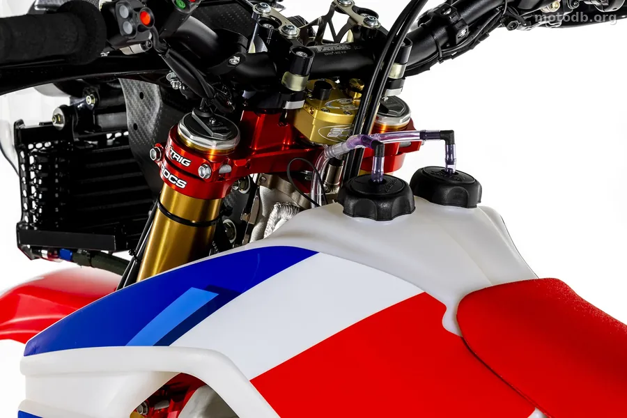 Honda CRF 450 RX Rally