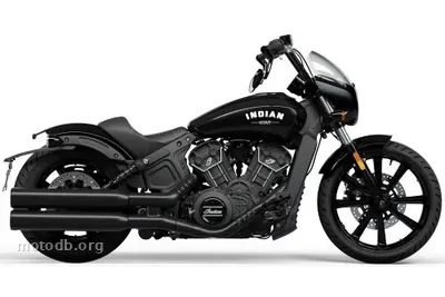 Indian Scout Rogue