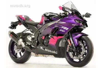 Kawasaki Ninja 1000 ZX-10RR 40th Anniversary UK Performance Edition