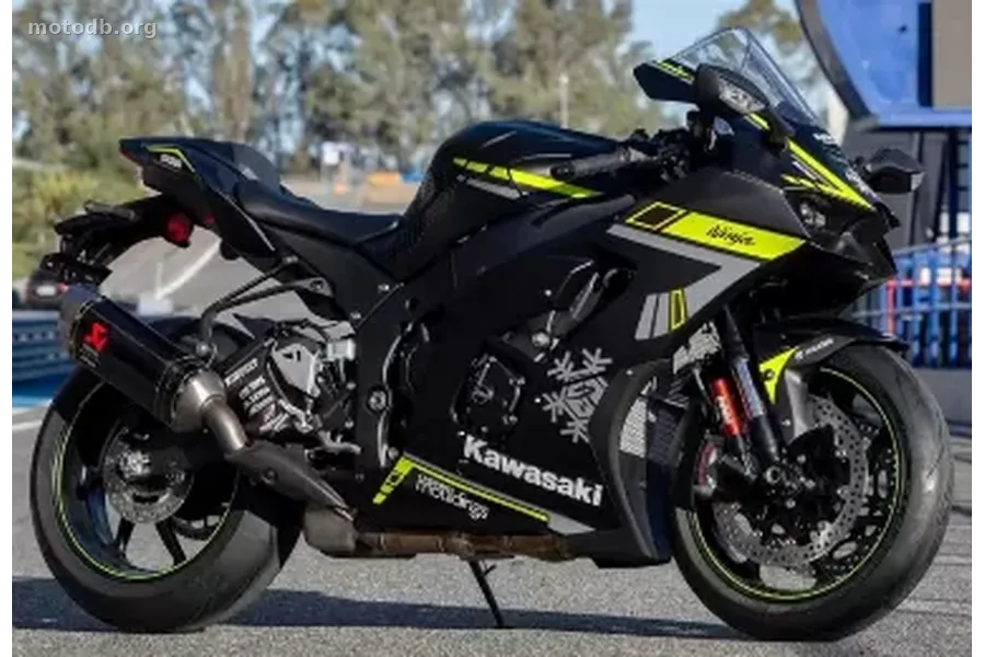 Kawasaki Ninja 1000 ZX-10RR Winter Test Edition