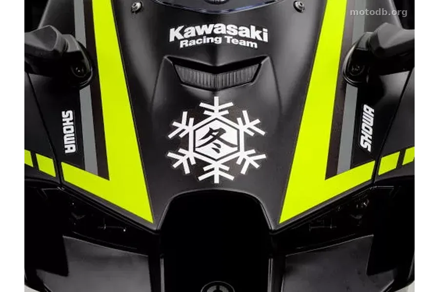 Kawasaki Ninja 1000 ZX-10RR Winter Test Edition