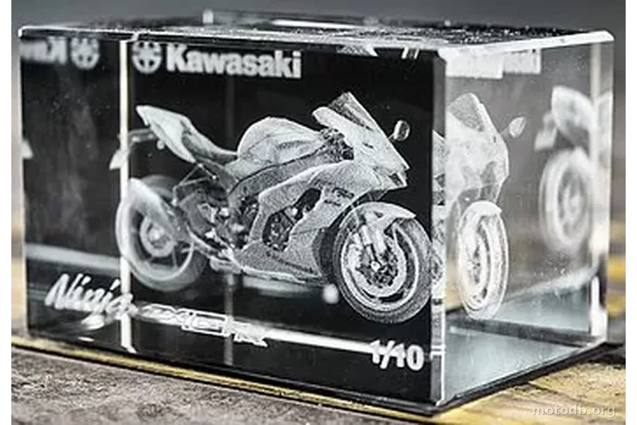 Kawasaki Ninja 1000 ZX-10RR WSBK-Edition