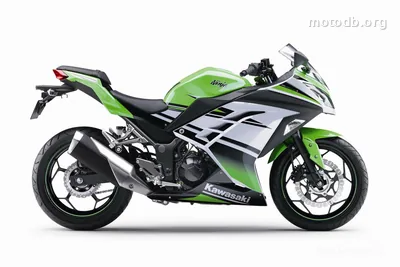 Kawasaki Ninja 300 30th Anniversary Edition