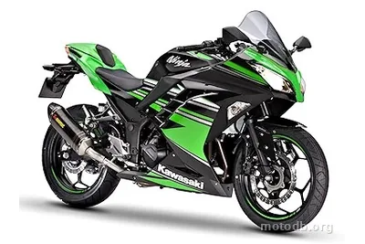 Kawasaki Ninja 300 KRT Performance
