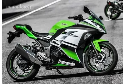 Kawasaki Ninja 300 R KRT Edition