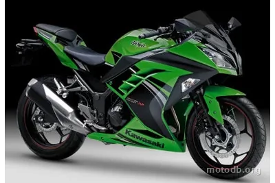 Kawasaki Ninja 300 R Special Edition