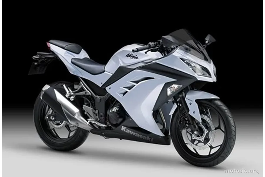 Kawasaki Ninja 300 R