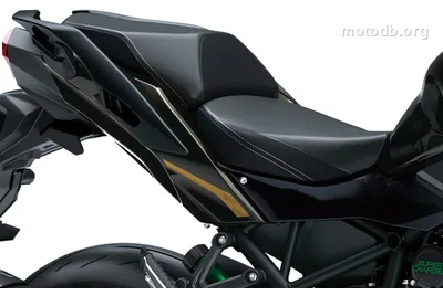 Kawasaki Ninja H2 SX