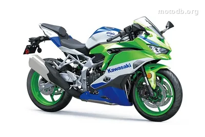 Kawasaki Ninja ZX-4RR 40th Anniversary Edition