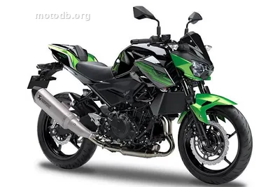 Kawasaki Z 400 Performance
