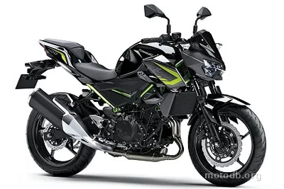 Kawasaki Z 400