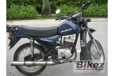 Minsk 13