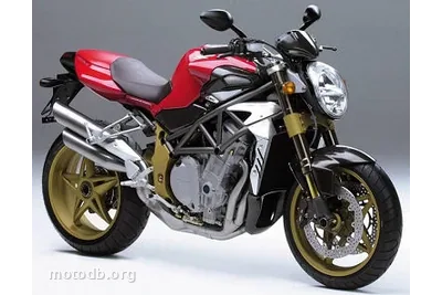 MV Agusta MV Agusta F4 Brutale Serie Oro