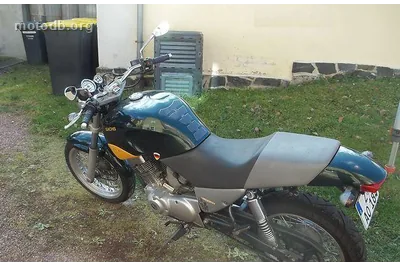 Sachs Roadster