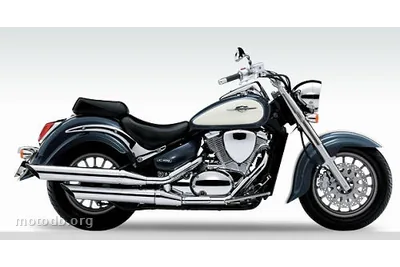 Suzuki C 800 INTRUDER