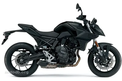 Suzuki GSX-8S