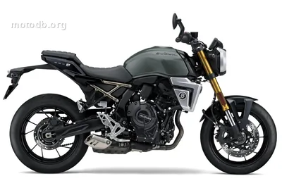 Suzuki GSX-8T 800