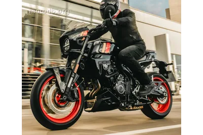 Suzuki GSX-8TT 800