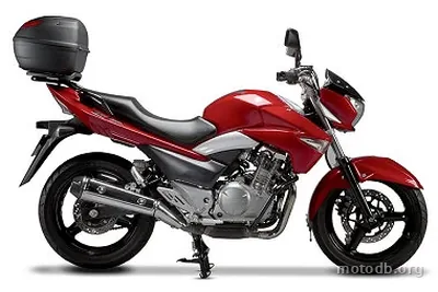 Suzuki GW 250 INAZUMA Urban