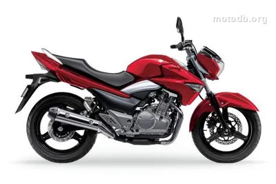Suzuki GW 250 INAZUMA
