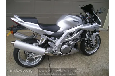 Suzuki SV 1000