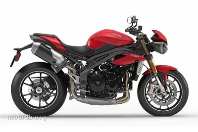 Triumph 1050 SPEED TRIPLE 100 S