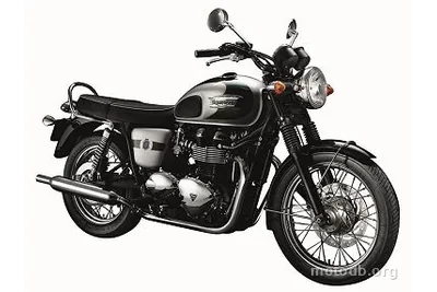 Triumph 865 Bonneville T 100 110th Anniversary Special