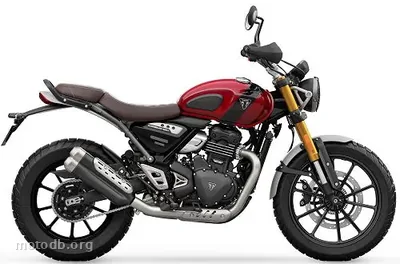 Triumph Scrambler 400 X