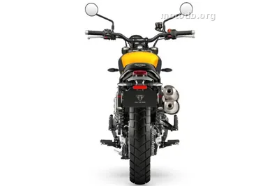 Triumph Scrambler 900