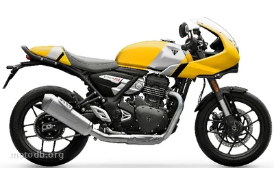 Triumph Thruxton 400