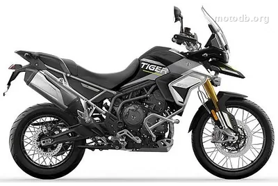 Triumph Tiger 900 Rally Pro Aragon Edition