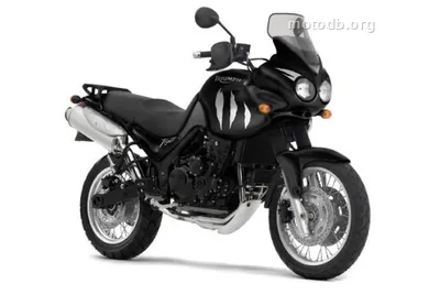 Triumph Tiger 955i