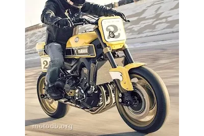 Yamaha MT-09 850 Faster Sons - Faster Wasp -