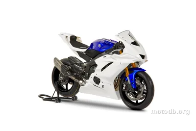 Yamaha R6 GYTR