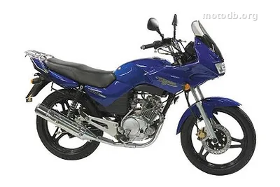 Yamaha YBR 125 DIVERSION